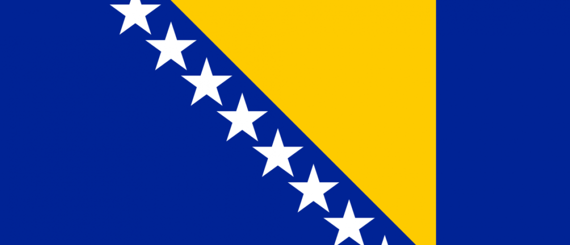 Flag_of_Bosnia_and_Herzegovina.svg